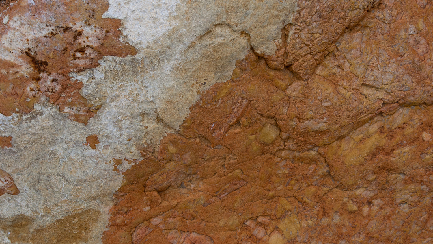 Moko Hills Kakano Chardonnay label highlighting textural rock surface and calcium carbonate buildup 